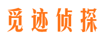 新城区市侦探调查公司